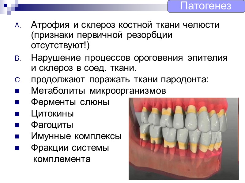 Атрофия и склероз костной ткани челюсти (признаки первичной резорбции отсутствуют!) Нарушение процессов ороговения эпителия